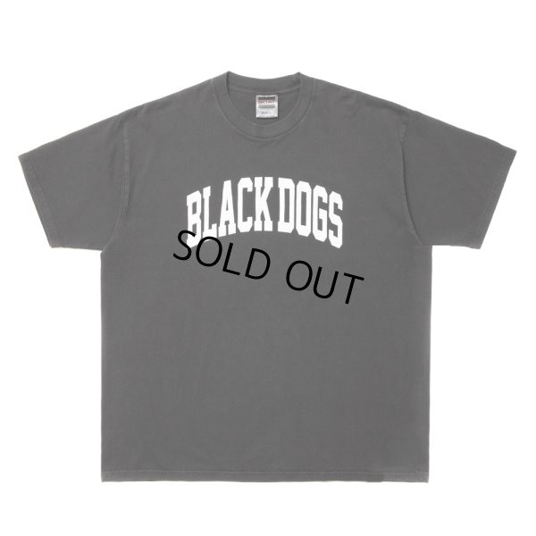 画像1: ROTTWEILER/PIGMENT B.D TEE（CHARCOAL）［プリントT-24春夏］