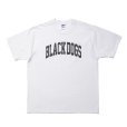 画像1: ROTTWEILER/PIGMENT B.D TEE（WHITE） 【30%OFF】［プリントT-24春夏］ (1)