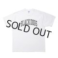 ROTTWEILER/PIGMENT B.D TEE（WHITE） 【30%OFF】［プリントT-24春夏］