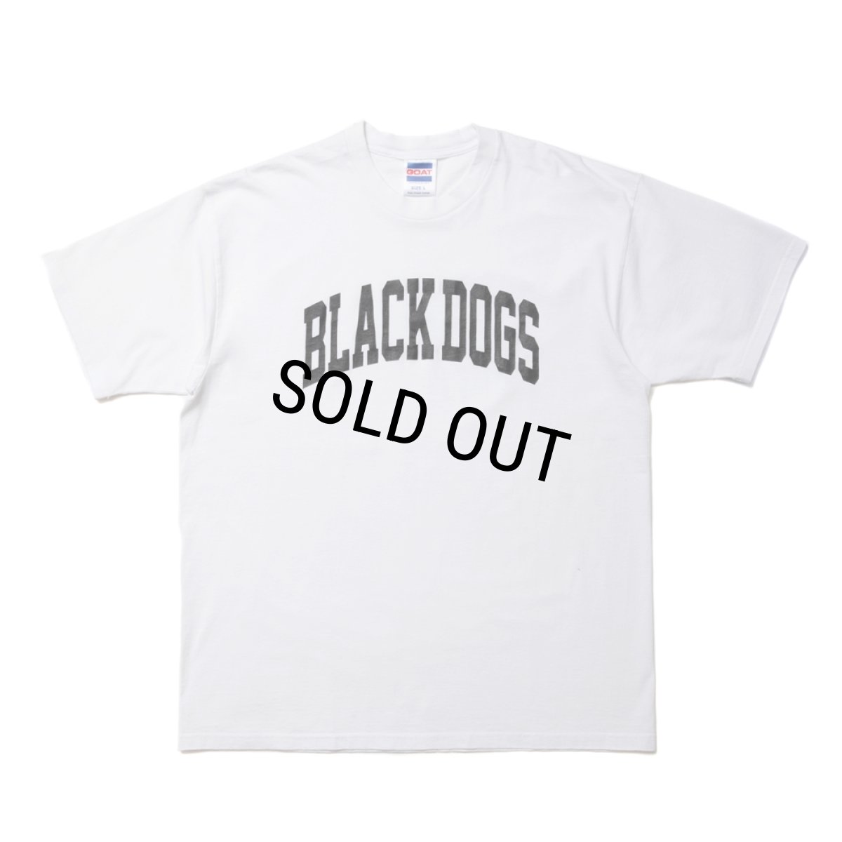 画像1: ROTTWEILER/PIGMENT B.D TEE（WHITE） 【30%OFF】［プリントT-24春夏］ (1)