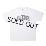 ROTTWEILER/PIGMENT B.D TEE（WHITE） 【30%OFF】［プリントT-24春夏］