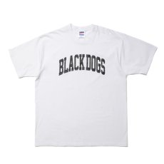 画像1: ROTTWEILER/PIGMENT B.D TEE（WHITE） 【30%OFF】［プリントT-24春夏］ (1)