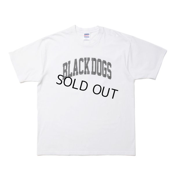 画像1: ROTTWEILER/PIGMENT B.D TEE（WHITE） 【30%OFF】［プリントT-24春夏］