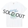 【40%OFF】CALEE/STRETCH SYNDICATE RETRO GIRL VINTAGE T-SHIRT ＜NATURALLY PAINT DESIGN＞（WHITE）［プリントT-24春夏］