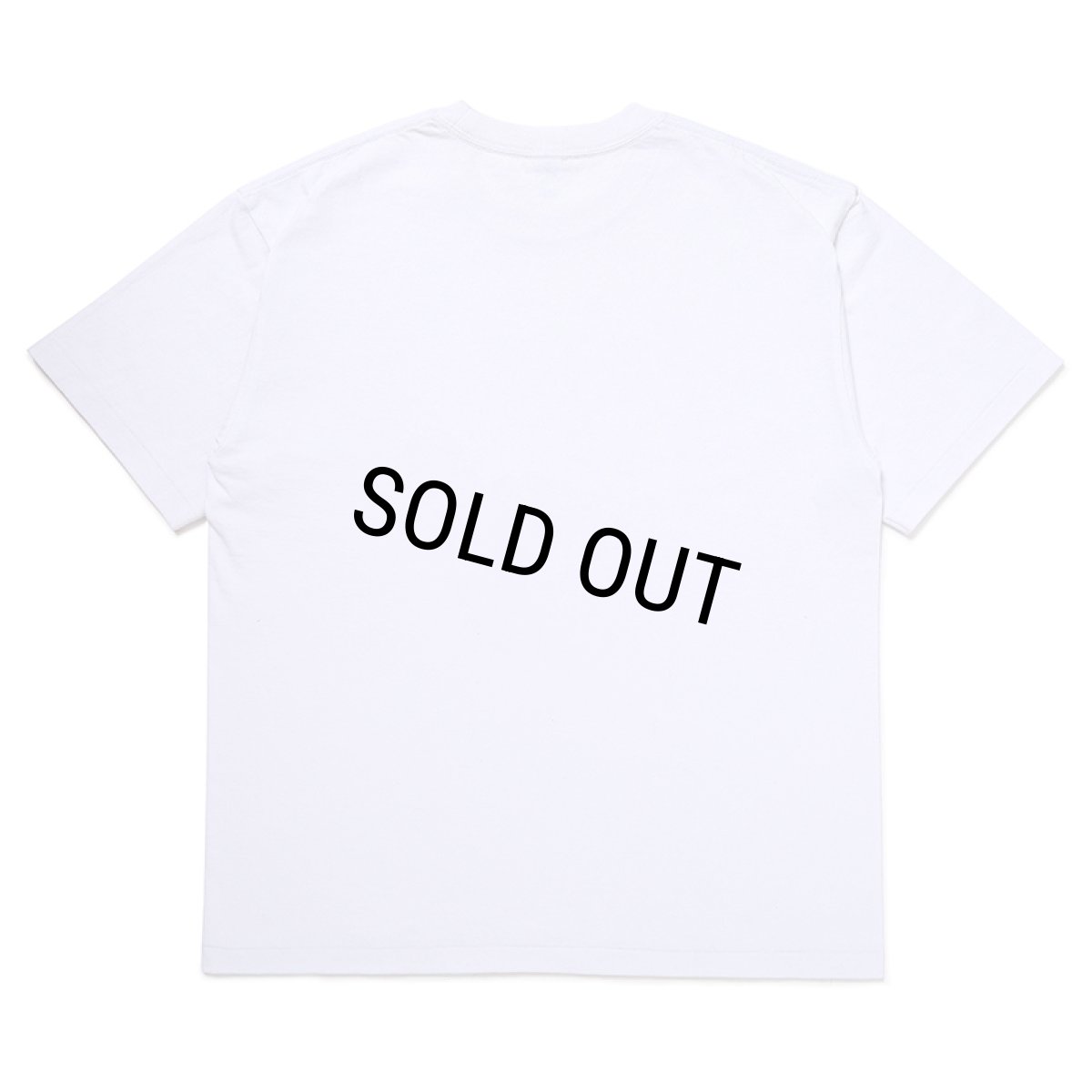 画像2: CHALLENGER/OVAL EAGLE TEE（WHITE）［プリントT-24秋冬］ (2)