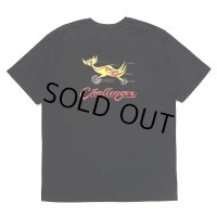 CHALLENGER/FIRE BIRD TEE（BLACK）［プリントT-24秋冬］