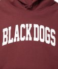 画像3: ROTTWEILER/B.D PARKA（BURGUNDY）［プルオーバーパーカー-24秋冬］