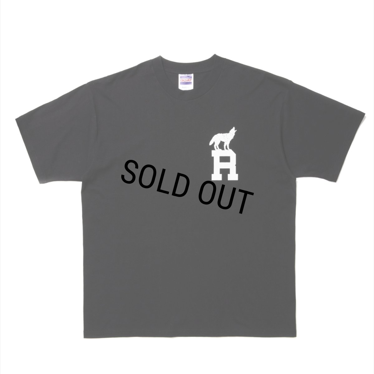 画像1: 【30%OFF】ROTTWEILER/DOG LOGO TEE（BLACK）［プリントT-24秋冬］ (1)