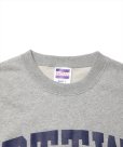 画像3: ROTTWEILER/RTTW SWEATER（GRAY）［クルーネックスウェット-24秋冬］