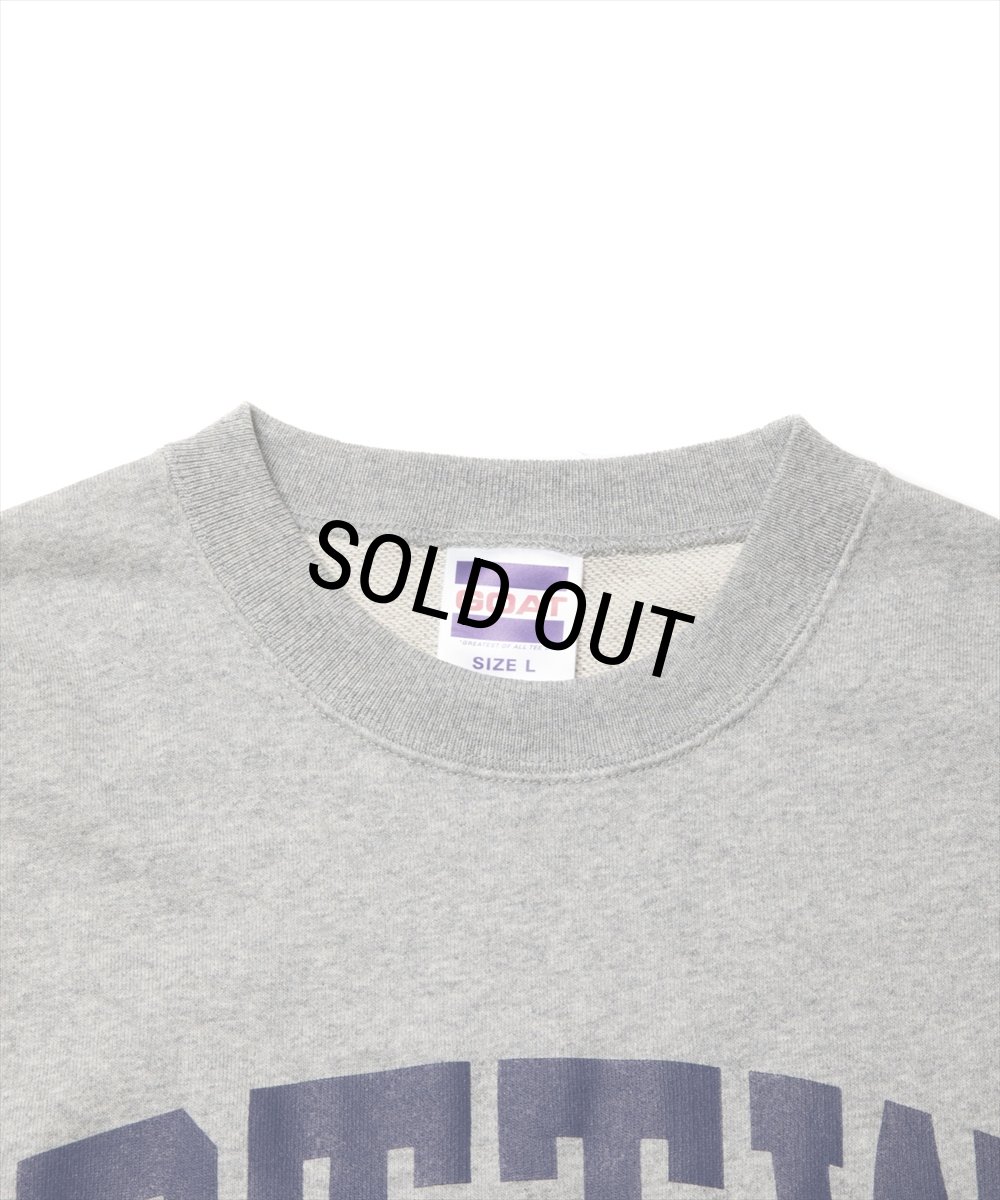 画像3: ROTTWEILER/RTTW SWEATER（GRAY）［クルーネックスウェット-24秋冬］ (3)