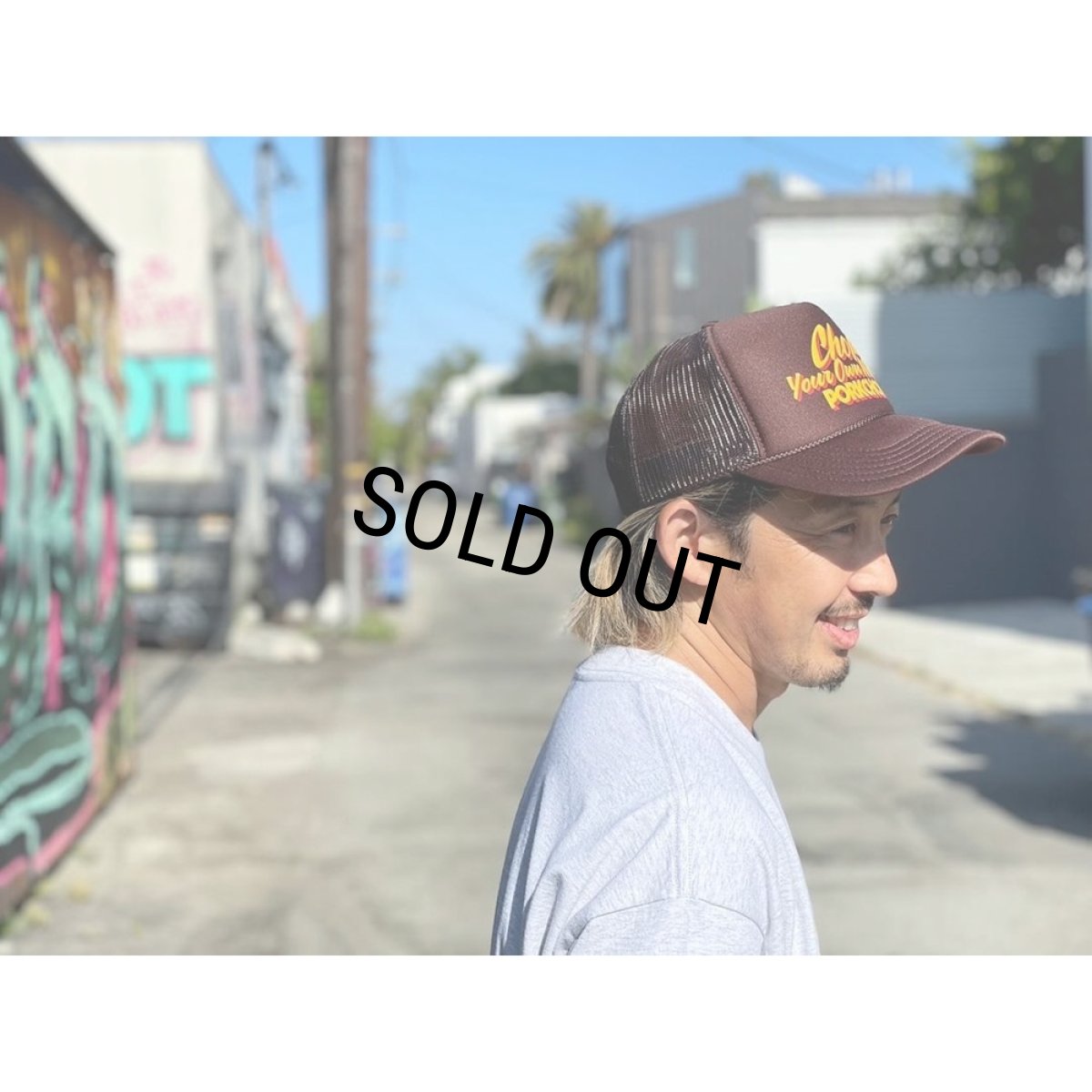 画像5: PORKCHOP/CHOP YOUR OWN WOOD CAP（BROWN）［メッシュキャップ-24春夏］ (5)