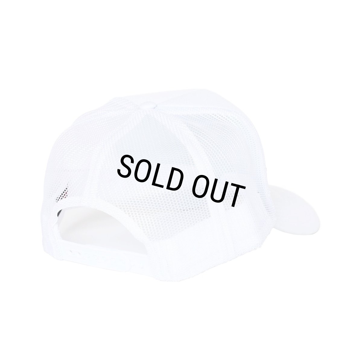 画像2: PORKCHOP/CHOP YOUR OWN WOOD CAP（WHITE）［メッシュキャップ-24春夏］ (2)