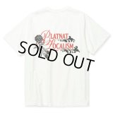 CALEE/BINDER NECK R&F VINTAGE T-SHIRT ＜NATURALLY PAINT DESIGN＞（WHITE）［プリントT-24春夏］