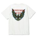 【40%OFF】CALEE/BINDER NECK WING LOGO VINTAGE TEE ＜NATURALLY PAINT DESIGN＞（WHITE）［プリントT-24春夏］