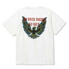 画像1: 【40%OFF】CALEE/BINDER NECK WING LOGO VINTAGE TEE ＜NATURALLY PAINT DESIGN＞（WHITE）［プリントT-24春夏］ (1)