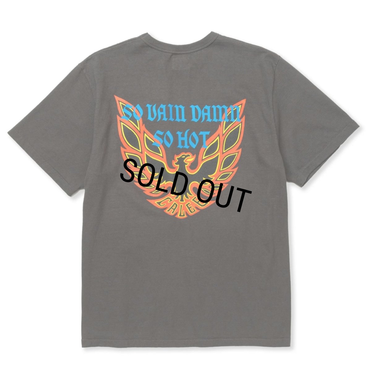 画像1: 【30%OFF】CALEE/BINDER NECK WING LOGO VINTAGE TEE ＜NATURALLY PAINT DESIGN＞（CHARCOAL）［プリントT-24春夏］ (1)