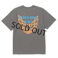 【30%OFF】CALEE/BINDER NECK WING LOGO VINTAGE TEE ＜NATURALLY PAINT DESIGN＞（CHARCOAL）［プリントT-24春夏］