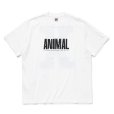 画像1: 【30%OFF】RATS/ANIMAL X TEE（WHITE）［プリントT-24春夏］ (1)