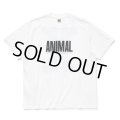 【40%OFF】RATS/ANIMAL X TEE（WHITE）［プリントT-24春夏］