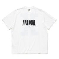 【30%OFF】RATS/ANIMAL X TEE（WHITE）［プリントT-24春夏］