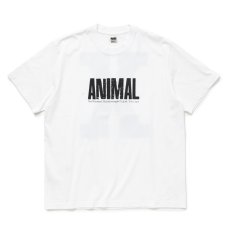 画像1: 【40%OFF】RATS/ANIMAL X TEE（WHITE）［プリントT-24春夏］ (1)
