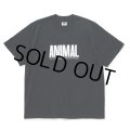 RATS/ANIMAL X TEE（BLACK）［プリントT-24春夏］