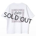 CALEE/× HIGH FIVE FACTORY CAL RETRO GIRL BANDANNA TEE（WHITE）［プリントT-24春夏］