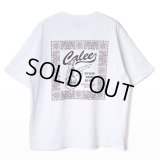 CALEE/× HIGH FIVE FACTORY CAL RETRO GIRL BANDANNA TEE（WHITE）［プリントT-24春夏］