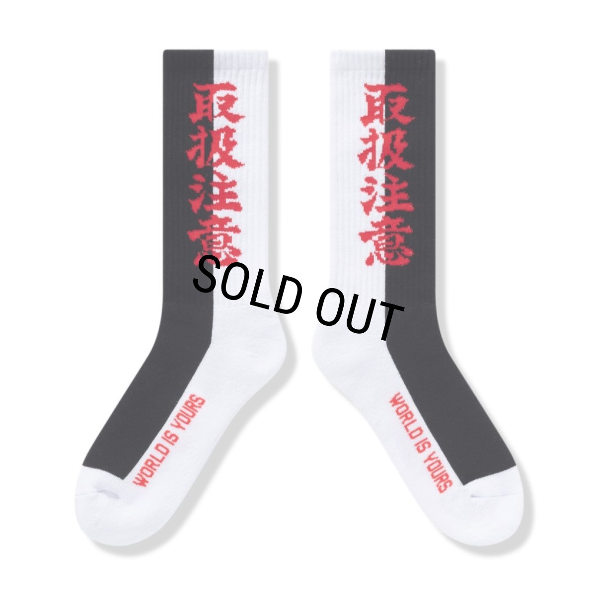 画像2: BlackEyePatch/HWC 2 TONE SOCKS（MULTI） (2)