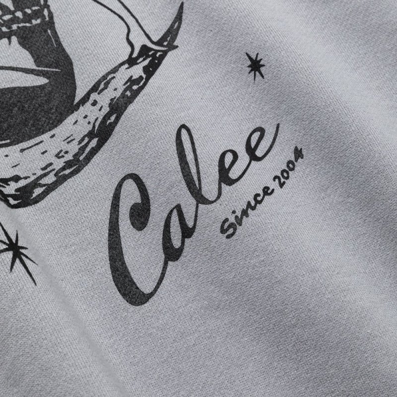 画像3: 【30％OFF】CALEE/SYNDICATE RETRO GIRL CREW NECK SW ＜NATURALLY PAINT DESIGN＞（GRAY）［クルーネックスウェット-24秋冬］