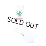 WACKO MARIA/HIGH TIMES / JACQUARD SOCKS（WHITE）［ジャガードソックス-24秋冬］
