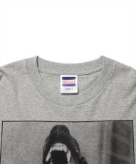 画像4: 【30%OFF】ROTTWEILER/DOG PHOTO LS TEE（GRAY）［プリント長袖T-25春夏］ (4)