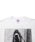 画像3: ROTTWEILER/DOG PHOTO TEE（WHITE）［プリントT-25春夏］