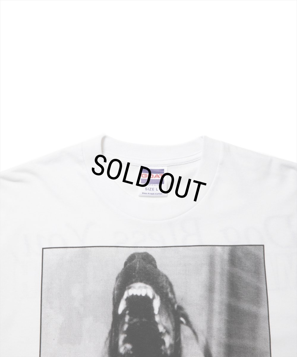 画像3: ROTTWEILER/DOG PHOTO TEE（WHITE）［プリントT-25春夏］ (3)