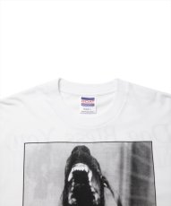 画像3: ROTTWEILER/DOG PHOTO TEE（WHITE）［プリントT-25春夏］ (3)