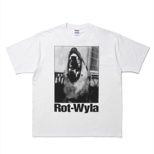 他の写真1: ROTTWEILER/DOG PHOTO TEE（WHITE）［プリントT-25春夏］