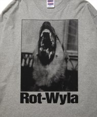 画像5: 【30%OFF】ROTTWEILER/DOG PHOTO LS TEE（GRAY）［プリント長袖T-25春夏］ (5)