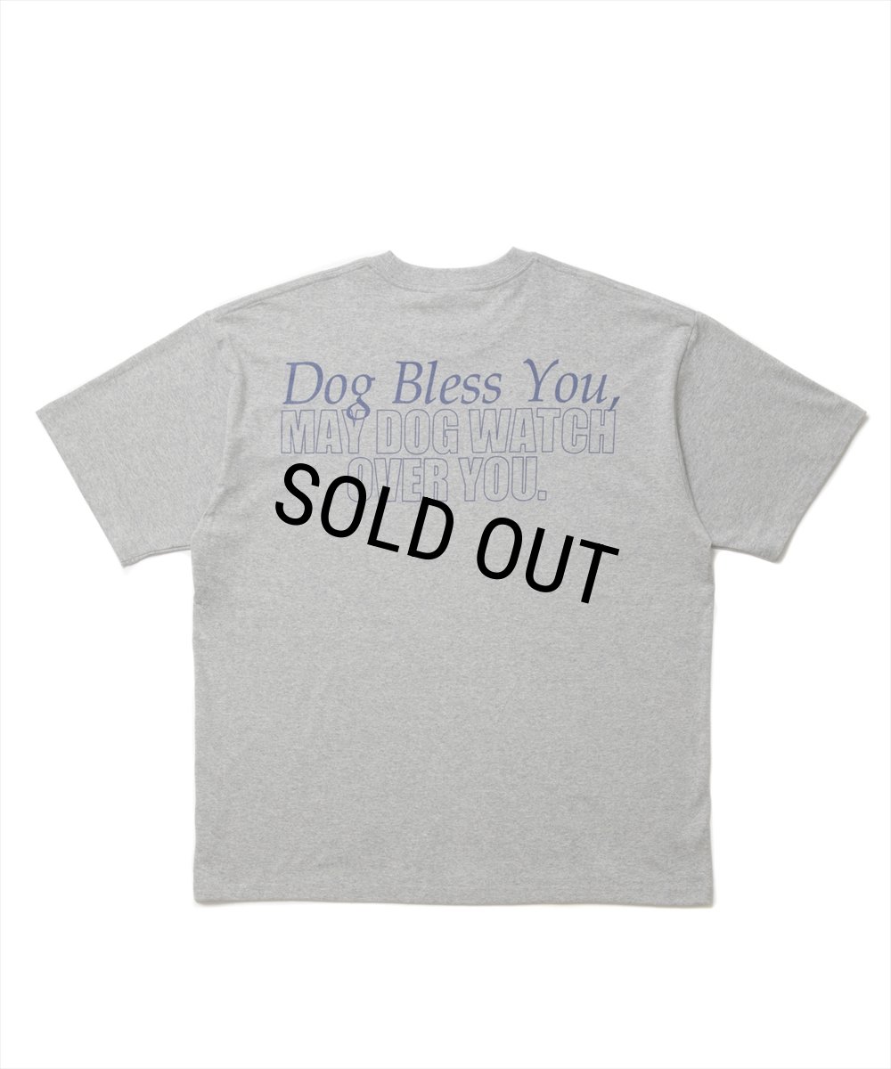 画像2: ROTTWEILER/DOG PHOTO TEE（GRAY）［プリントT-25春夏］ (2)