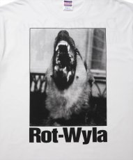 画像4: ROTTWEILER/DOG PHOTO TEE（WHITE）［プリントT-25春夏］ (4)