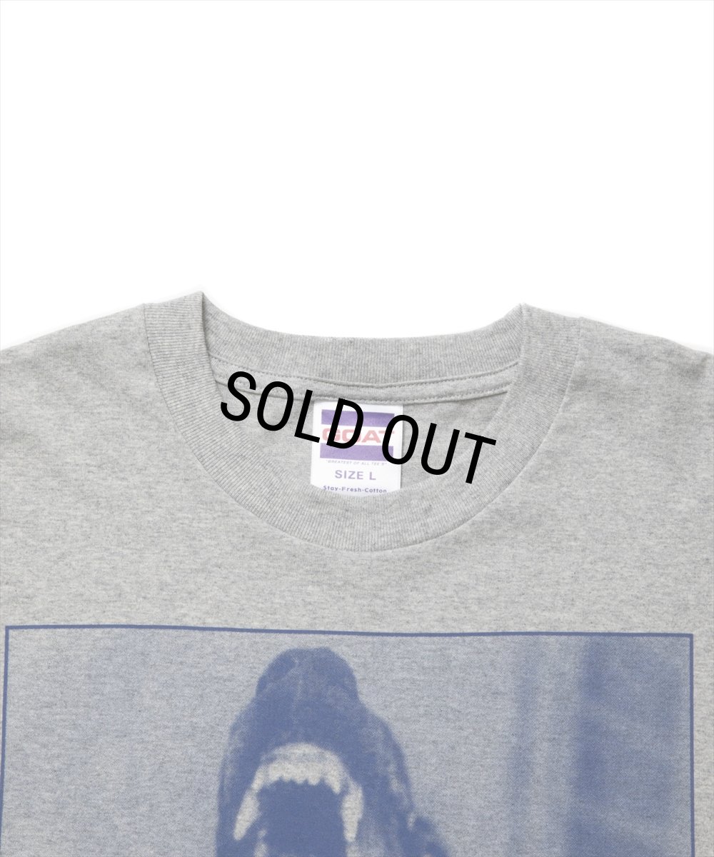 画像3: ROTTWEILER/DOG PHOTO TEE（GRAY）［プリントT-25春夏］ (3)