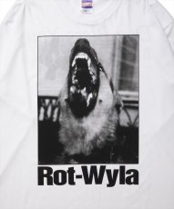 画像5: 【30%OFF】ROTTWEILER/DOG PHOTO LS TEE（WHITE）［プリント長袖T-25春夏］ (5)