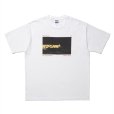 画像1: ROTTWEILER/CAL NIGHT PHOTO TEE（WHITE）［プリントT-25春夏］ (1)