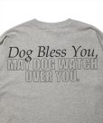 画像6: ROTTWEILER/DOG PHOTO LS TEE（GRAY）［プリント長袖T-25春夏］
