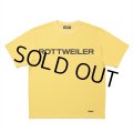 ROTTWEILER/R9 LOGO TEE（YELLOW）［オリジナルT-25春夏］