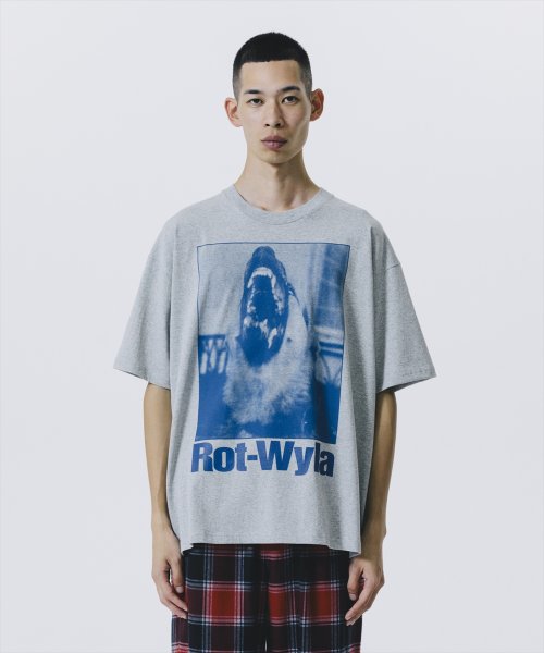 他の写真2: ROTTWEILER/DOG PHOTO TEE（GRAY）［プリントT-25春夏］