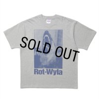 ROTTWEILER/DOG PHOTO TEE（GRAY）［プリントT-25春夏］