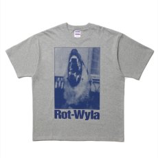 画像1: ROTTWEILER/DOG PHOTO TEE（GRAY）［プリントT-25春夏］ (1)