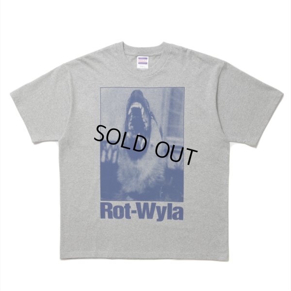 画像1: ROTTWEILER/DOG PHOTO TEE（GRAY）［プリントT-25春夏］