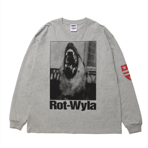 画像1: ROTTWEILER/DOG PHOTO LS TEE（GRAY）［プリント長袖T-25春夏］