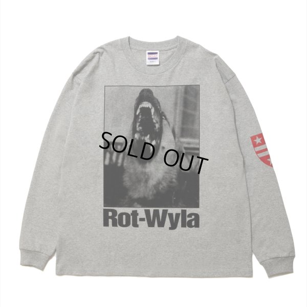 画像1: 【30%OFF】ROTTWEILER/DOG PHOTO LS TEE（GRAY）［プリント長袖T-25春夏］